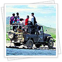 Jeep Safaris
